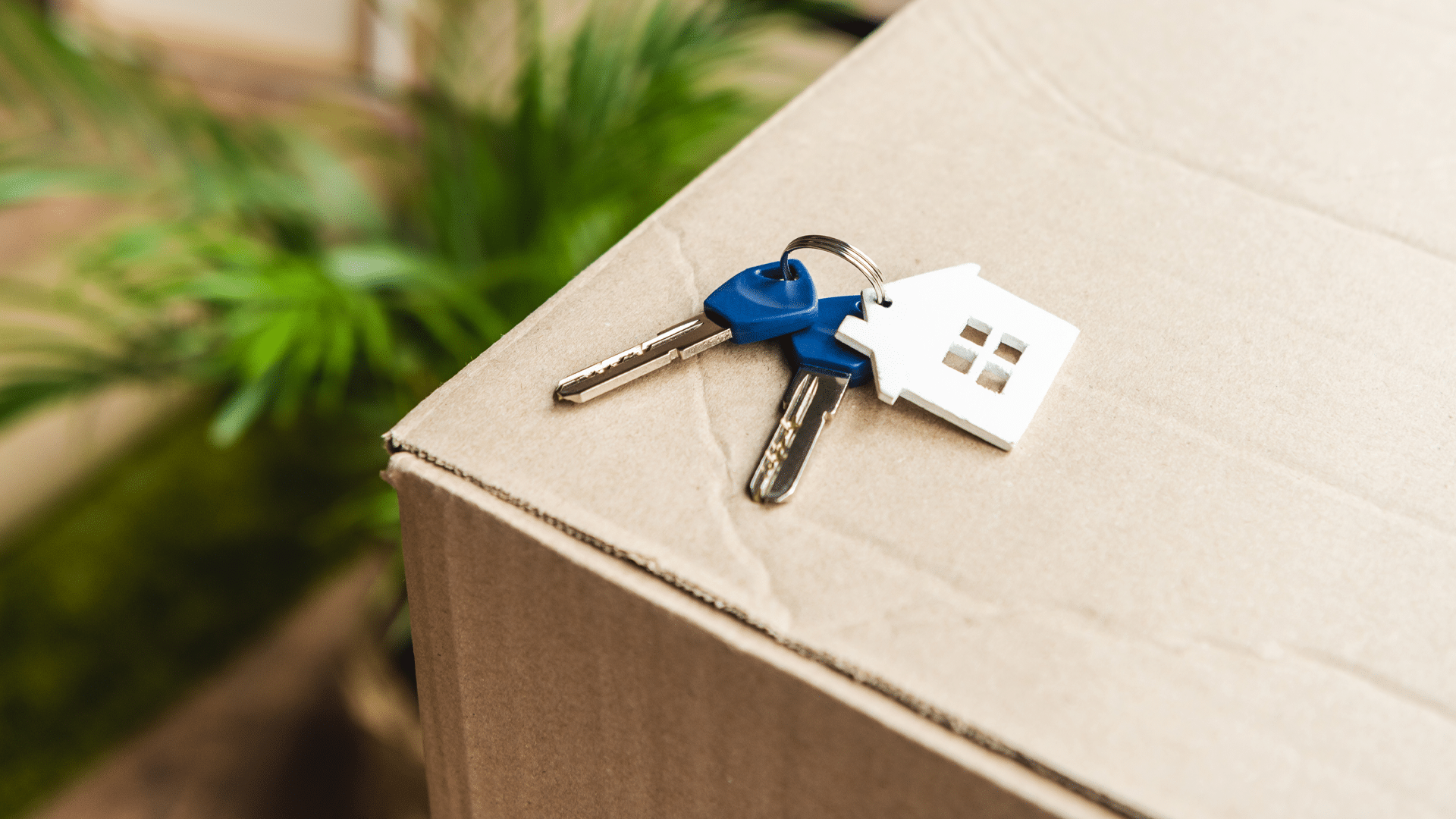 Government Schemes to Help You on to The Property Ladder in Durham